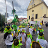 chmelfh053_25.jpg
