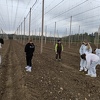 chmelnice_24_053.jpg