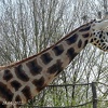 zoo22_003.jpg