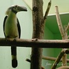 zoo22_007.jpg